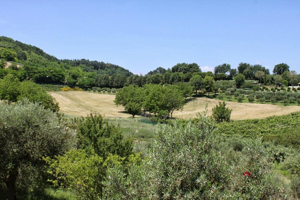 Villa Melagrana Fano Habitación foto